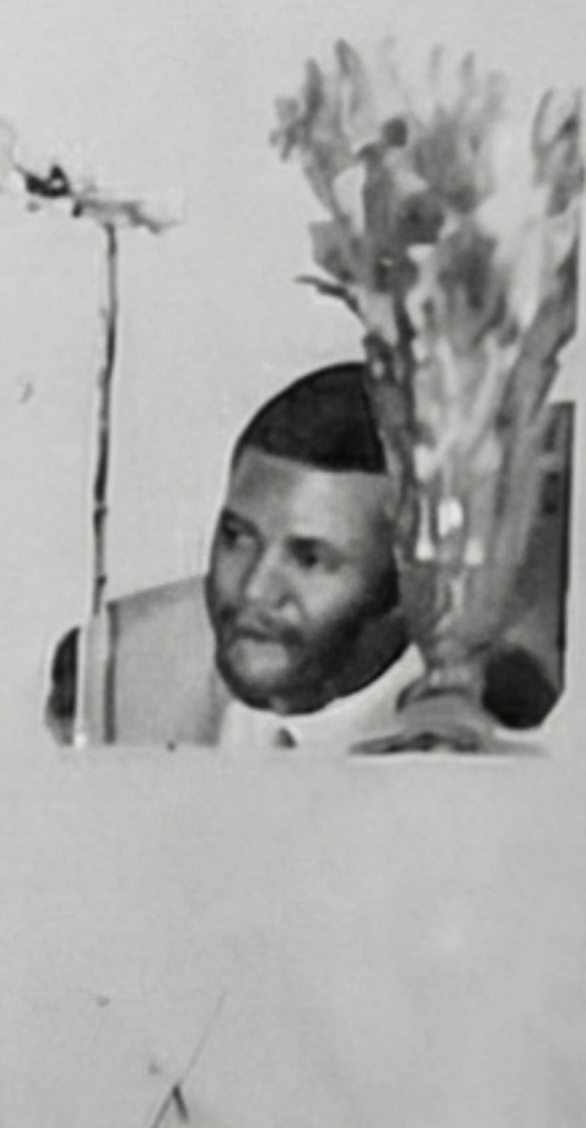 Pr. Marciano - foto 1